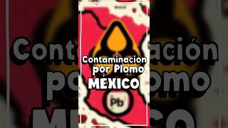 ¿Alimentos contaminados por plomo en México? #shorts