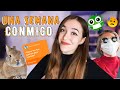 Una semana CONMIGO ¿Cómo es mi vida? VLOG |Atrapatusueño