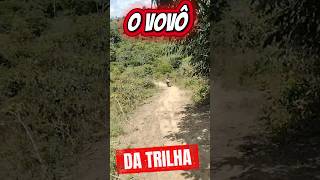FELIZ IDADE, FELICIDADE.             #moto #trilhasradicais #xlr125 #motocross #enduro #honda