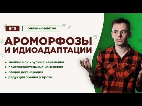 Ароморфозы и  идиоадаптации | ЕГЭ Биология | Даниил Дарвин