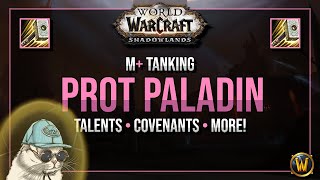 PROTECTION PALADIN Shadowlands M  Indepth Guide [9.0]