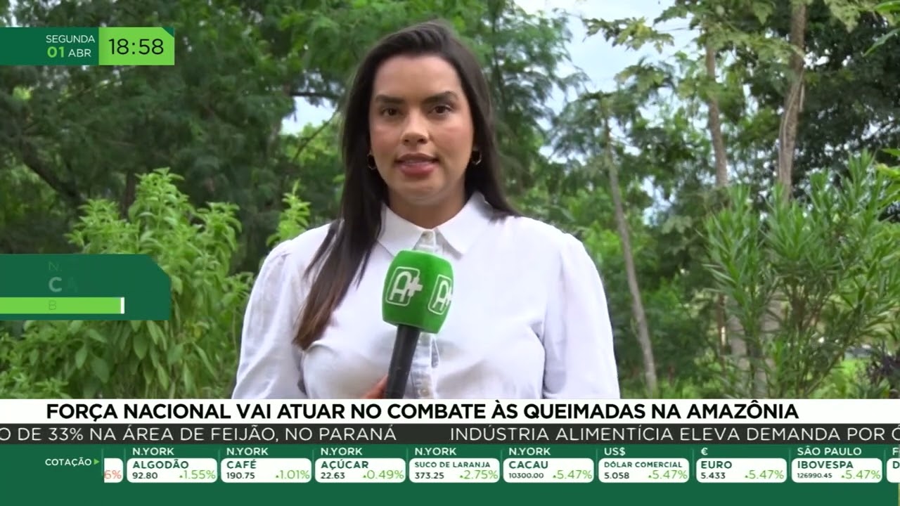 Força nacional vai atuar no combate as queimadas na Amazônia