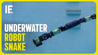 How a robot snake explores underwater by Interesting Engineering 2,467 views 8 days ago 1 minute, 19 seconds