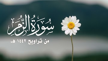 سورة الزمر ||  1442هـ
