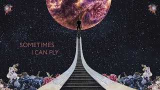 NEEDSHES - Sometimes I Can Fly (Official Audio)