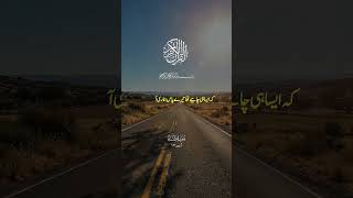 surah Taha ayats #qurantranslation #quran
