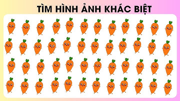 Tìm Hình Ảnh Khác Biệt| Thử Tài Tinh Mắt| Nguyễn Thị Lan Anh