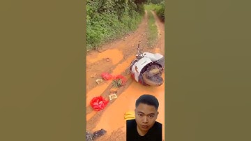 reaction video lucu bikin ngakak #lucu #funnyvideo #shorts