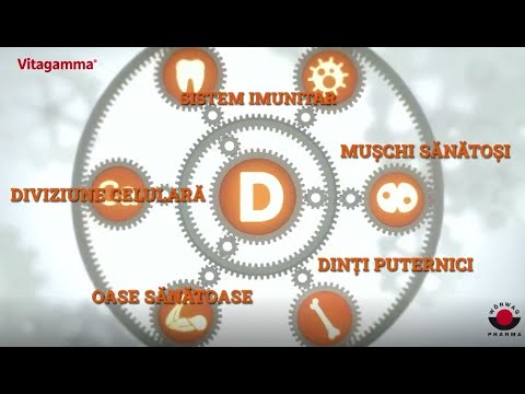 Video: Vitagamma - Instrucțiuni Pentru Utilizarea Injecțiilor, Preț, Recenzii, Analogi