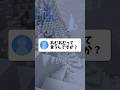 顔出ししながらあむあむ配信してます #vtuber #マイクラ #マインクラフト