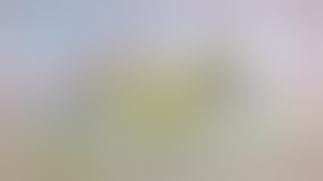 Maneater - Crawfish Bay