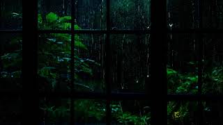 Take in the peace and quiet of a rainforest on a wet night. cozy-rain by Dallyrain 170 views 1 month ago 1 hour, 8 minutes