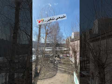 هات عقرب ثواني وائل جسار