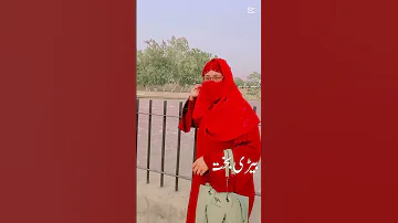 کری مان نہ ساوا دا2025 شازیہ اکرم بہار مدینہ 
