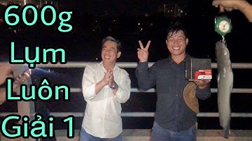 GIẢI CÂU CÁ THIÊN NHIÊN NIỀM NAM ĐỢT 3 - CÂU CÁ TRA SÔNG SÀI GÒN | Dương Khương Duy FISHING 2020 #20