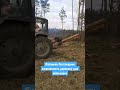 Лісівники Полтавщини заготовляють деревину для військових Лісівники Полтавщини заготовляють деревину для військових