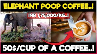 World's most expensive COFFEE is made with elephant poop / Dung | Why it is so Expensive..?