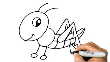How to DRAW a GRASSHOPPER Easy Step by Step