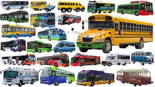 Police Bus, School Bus, Ambulance, Fire, Coach, City Bus | Buses Name, Vehicle Name Sounds For Kids