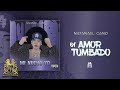 01. Natanael Cano - Amor Tumbado [Official Audio]