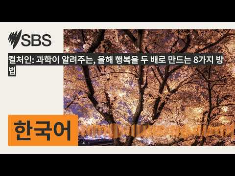 컬처인 과학이 알려주는 올해 행복을 두 배로 만드는 8가지 방법 SBS Korean SBS 한국어 프로그램