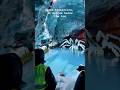 GIANT Arctic Spider Found Frozen Beneath Antarctic Ice GIANT Arctic Spider Found Frozen Beneath Antarctic Ice