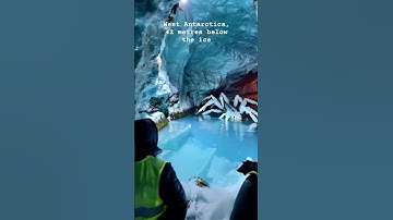 GIANT Arctic Spider Found Frozen Beneath Antarctic Ice!