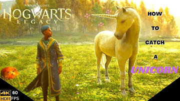Hogwarts Legacy - How To Get Unicorn - How To Tame Unicorn - Unicorn Location