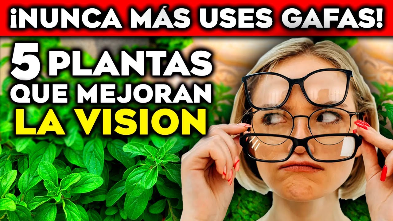 5 PLANTAS para MEJORAR LA VISIÓN y CUIDAR LA VISTA de Forma Natural ...