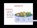 Ecology and Ecosystems: Interactions in Our Natural World