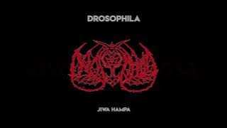 Drosophila - Jiwa Hampa (Single 2001)