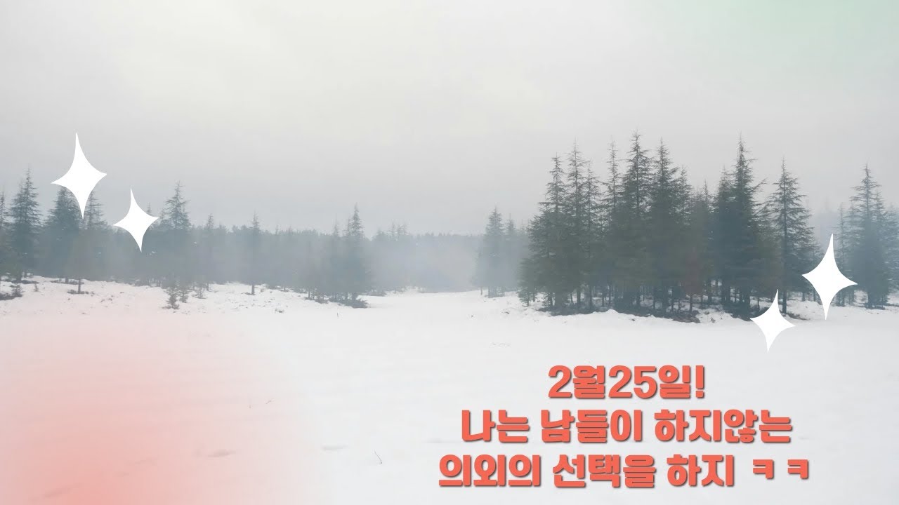 2월25일 투나대리 나는 남들이 하지않는 의외의 선택을 하지 ㅋㅋ