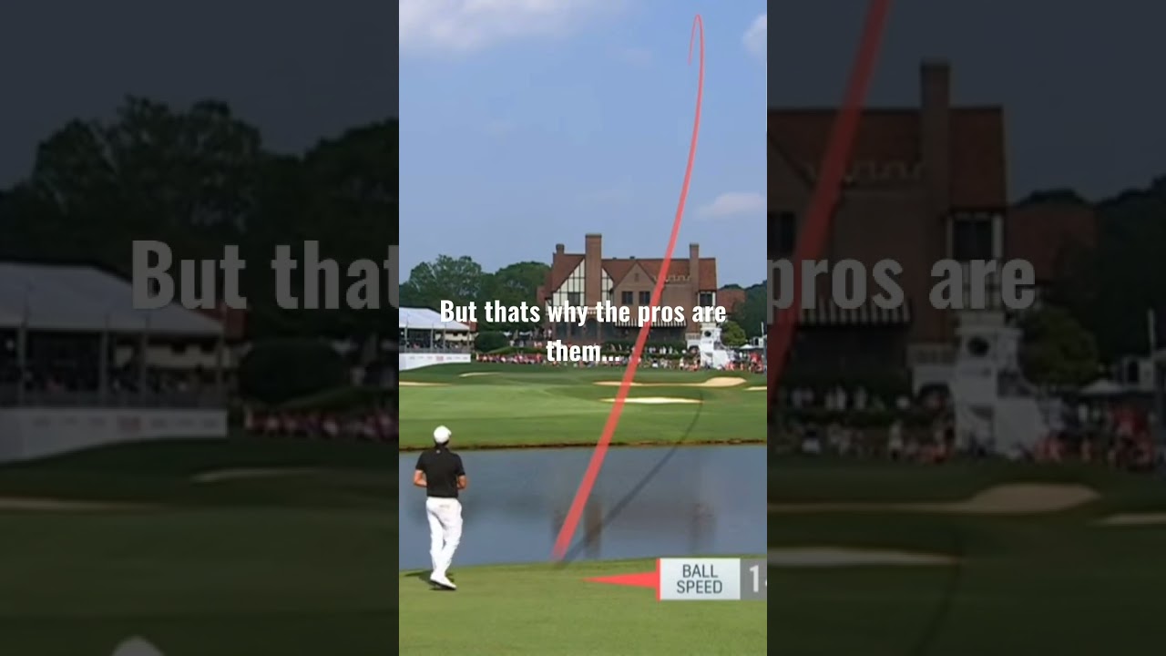 Why do the pros earn money while I pay to play golf: A synopsis 