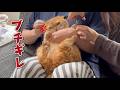 過去一大変だった爪切り嫌いの猫の本気がやばすぎた…!
