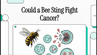Could a Bee Sting Fight Cancer