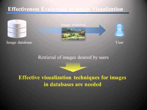 Technology for Evaluating the Visualization of Image Search Results