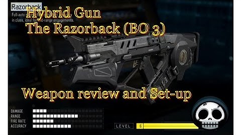 Hybrid Gun Razorback weapon set-up ( BO3 )