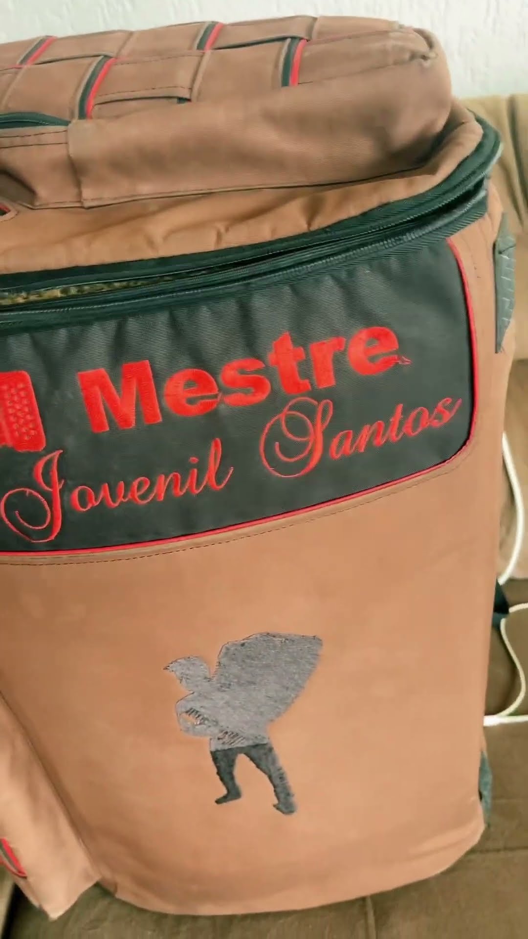 #mestrejovenil