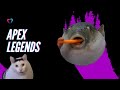 [APEX] ソロランは淑女の嗜みですわ