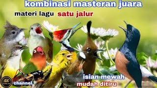 Download Lagu KOMBINASI MASTERAN PALING DI CARI JURI || murai batu kacer cucak ijo MP3 Download Lagu KOMBINASI MASTERAN PALING DI CARI JURI || murai batu kacer cucak ijo MP3