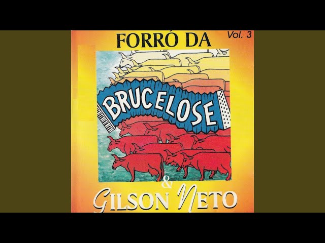 Brucelose - E  o amor