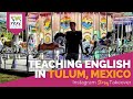 Day in the Life Teaching English in Tulum, Mexico with Zach Kukla