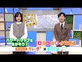 【10/9㊎キャッチ＋内で放送】サンテレビとNHK神戸連携企画　ハザードマップでリスクを確認