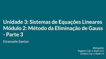 Método da Eliminação de Gauss com Determinantes e Pivotação Parcial