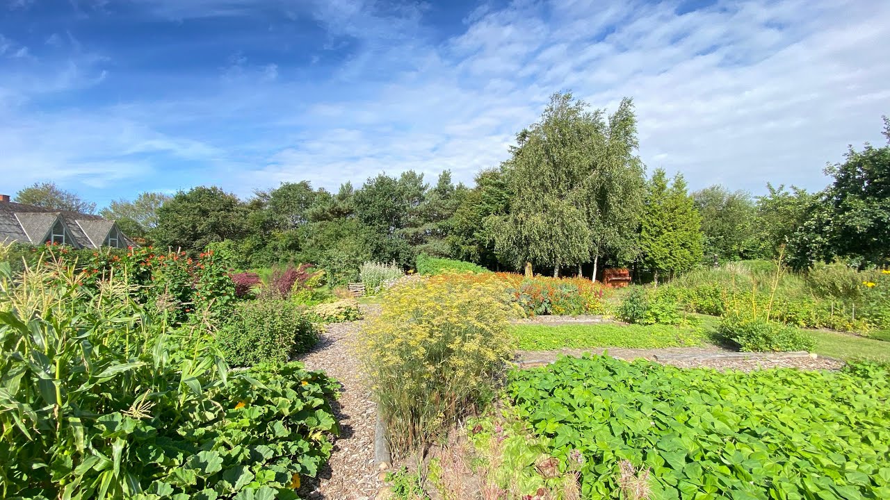 Haverne på Vestjyllands Højskole // Forundringens have, Markedshaven og Permahaven