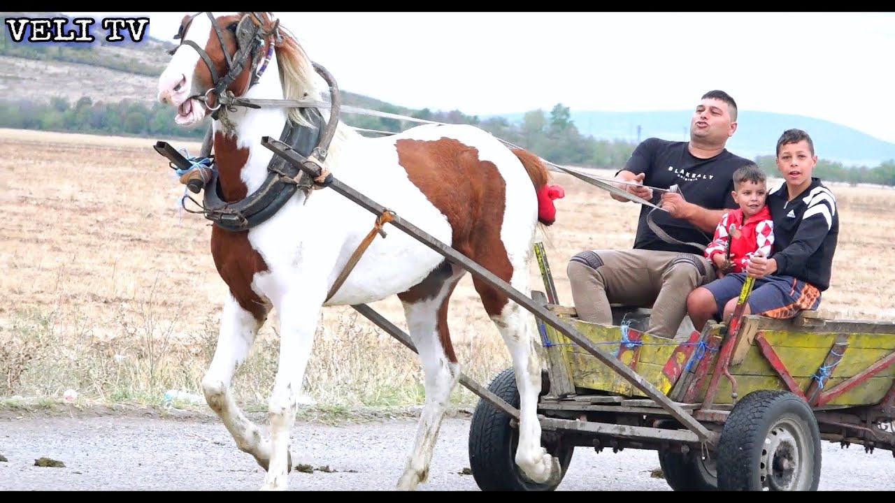 Състезание с Коне Чина 1 номер