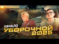 Собираем наш ПЕРВЫЙ урожай в этом году! Горох без глютена