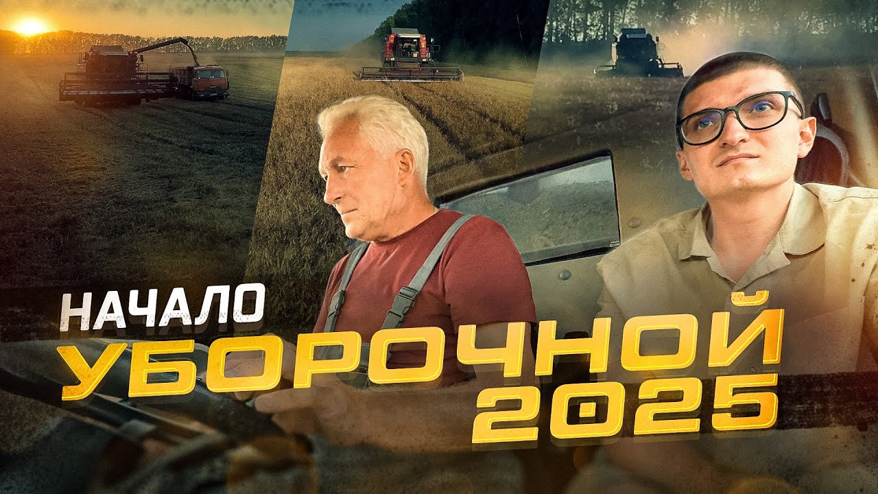 Собираем наш ПЕРВЫЙ урожай в этом году! Горох без глютена