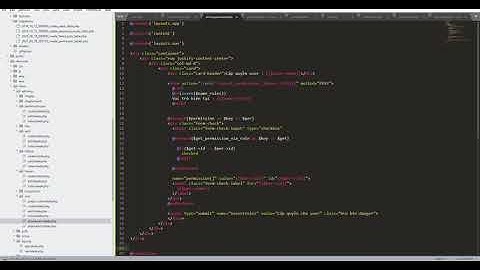 Bài 14 : Thêm quyền và vai trò cho user