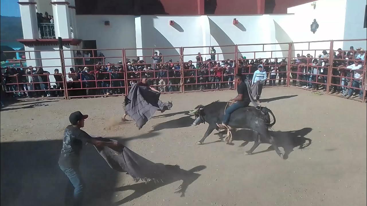 jaripeo en santa María tavehua YouTube